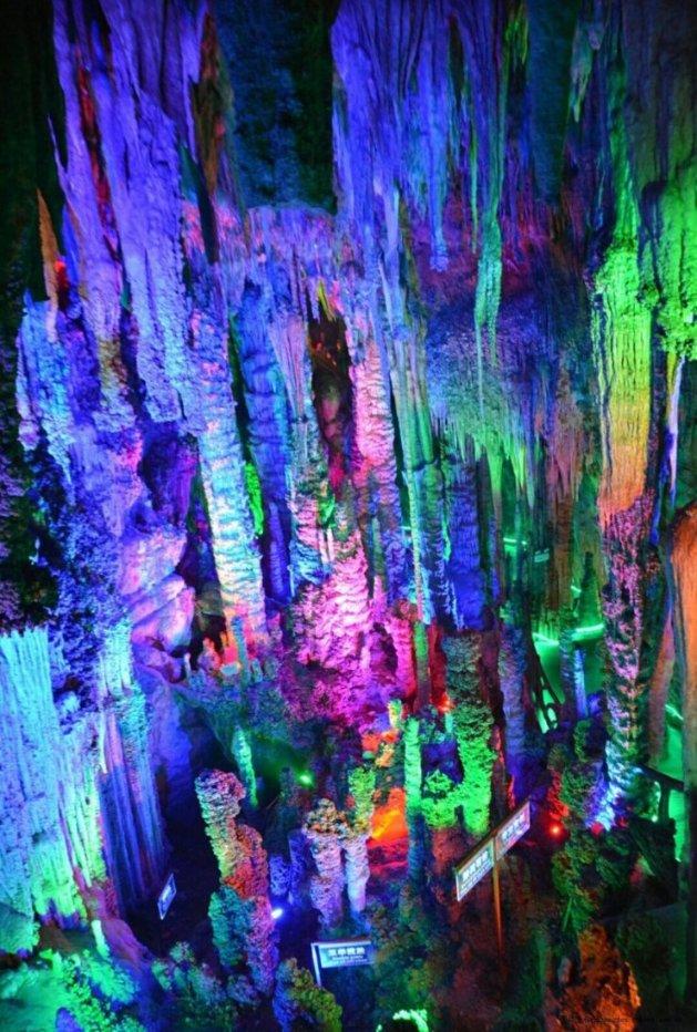 虫虫助手下载
